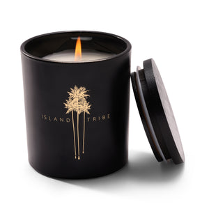 
                  
                    Restorative Radiance - Candle Set
                  
                